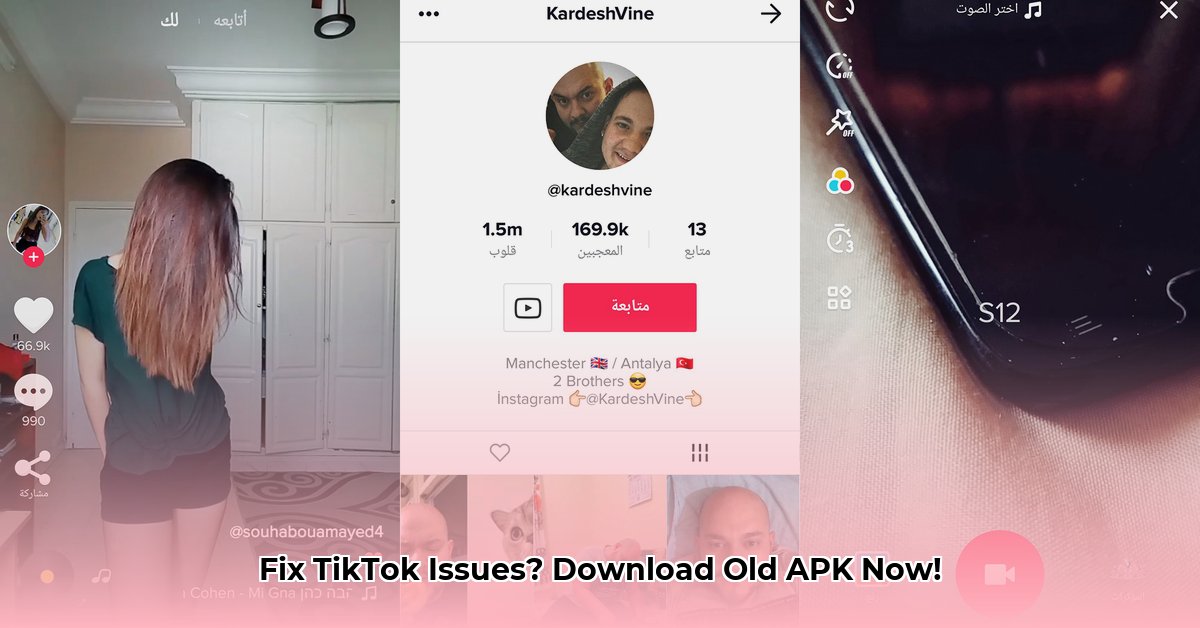 tiktok-apk-old-version
